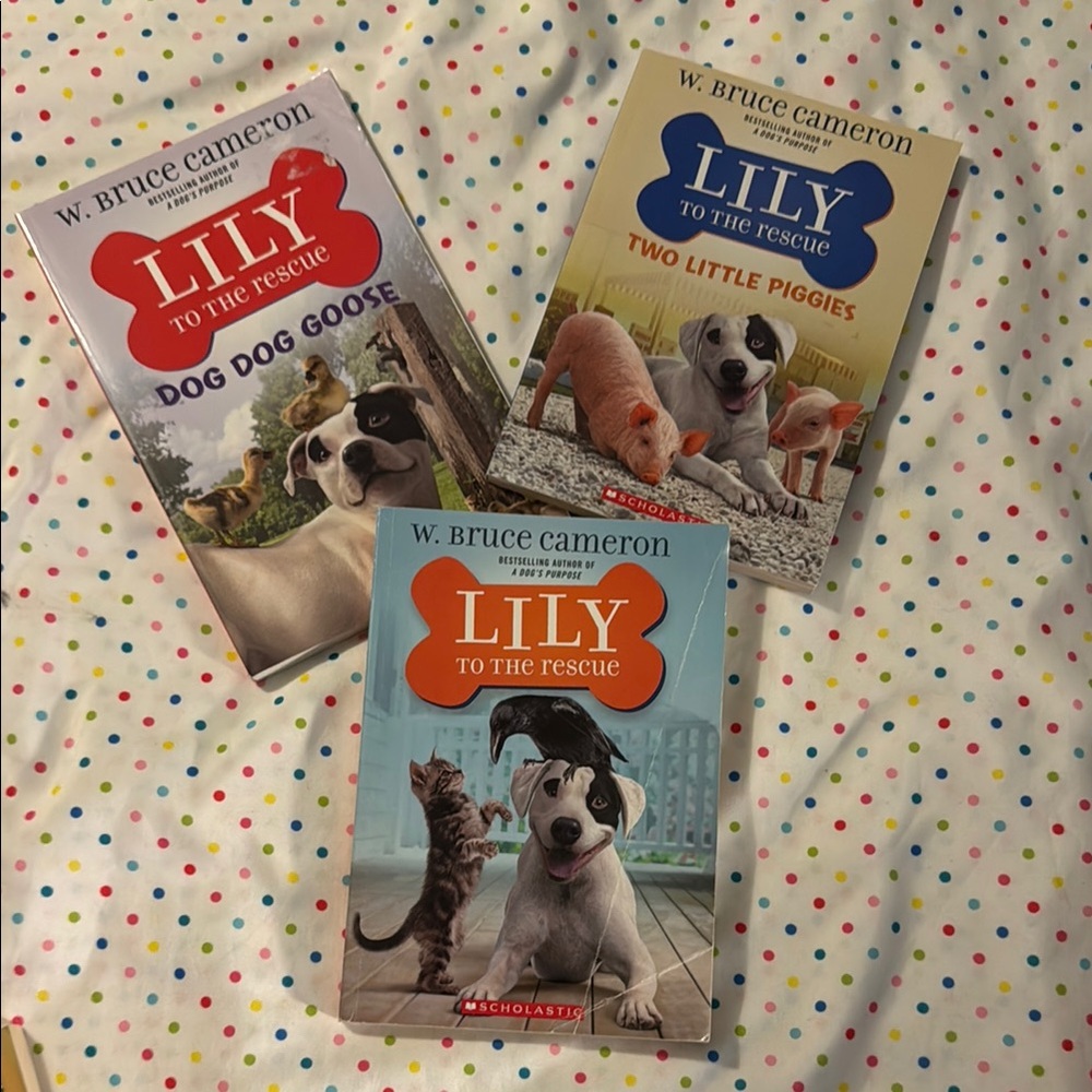 Scholastic 'Lily to the Rescue' Trio Set - Gently used